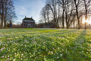 Frühling an der Ennemaborg