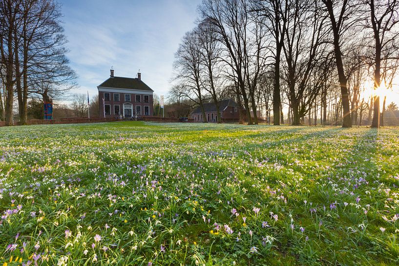 Spring at the Ennemaborg Estate by Ron Buist