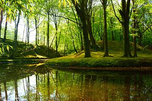 Landgoed Elswout van Michel van Kooten