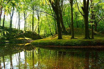 Forest by Michel van Kooten