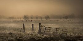 Mist over de weilanden  by Jenco van Zalk