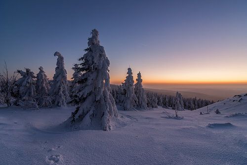 Winter Evening by Patrice von Collani