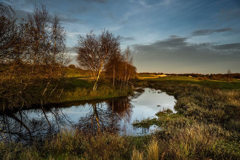 Naturschutzgebiet der Zeepeduinen in Zeeland von Paula Romein