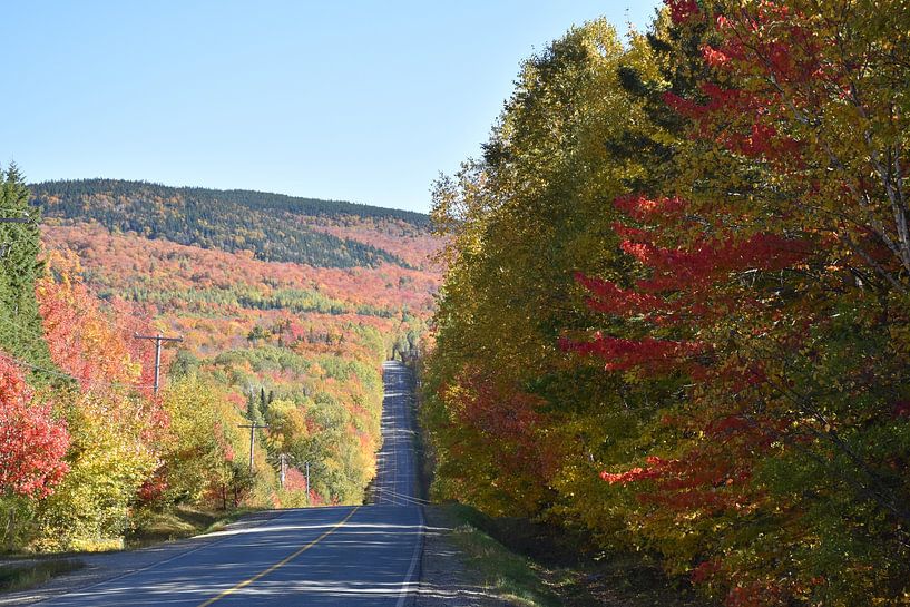 Eine Landstraße durchquert einen Wald im Herbst von Claude Laprise