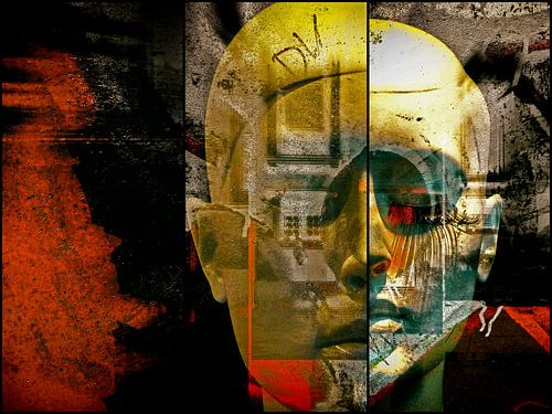 Een gespleten gezicht