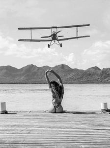 Flugzeug im Landeanflug auf eine Insel von Dagmar Pels