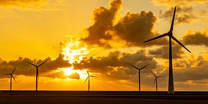 Windturbinen in einem Offshore-Windpark bei Sonnenuntergang