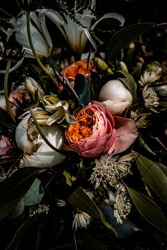 Blumen von ThograPictures