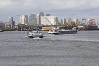 Péniches à Rotterdam