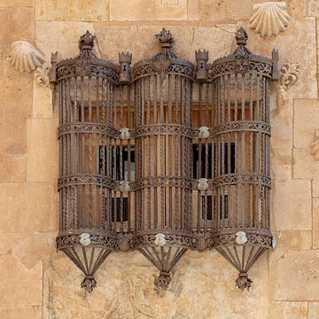 Bars on window Weapon at Casa de las Conchas in Salamanga by Joost Adriaanse