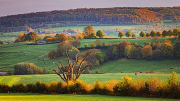 Herbst in Limburg von Henk Meijer Photography