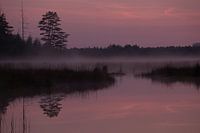 Weerspiegeling