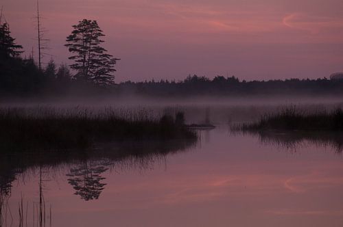 Weerspiegeling