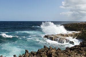 Curacao, ruige kust no. 3
