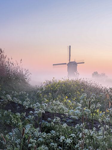 Le printemps au Broekmolen sur Elise van den Boogaart