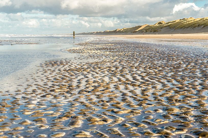 Strand bij Wijk aan Zee van Corali Evegroen