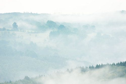 Landschapslagen in de mist