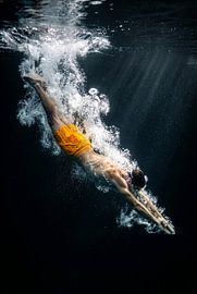Dynamic Underwater Swim by Markus Gann