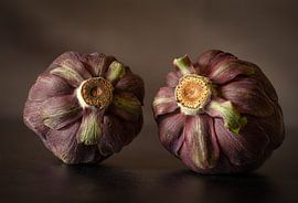 Deux artichauts violets sur Irene Ruysch fotografie