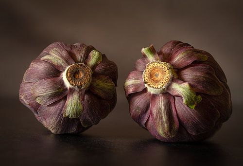 Twee paarse artisjokken