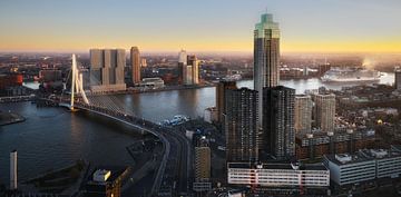 Découvrez la beauté de Rotterdam en une seule photo sur Roy Poots