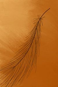 Feather by MishMash van Heukelom
