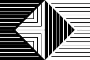 Lignes - noir et blanc