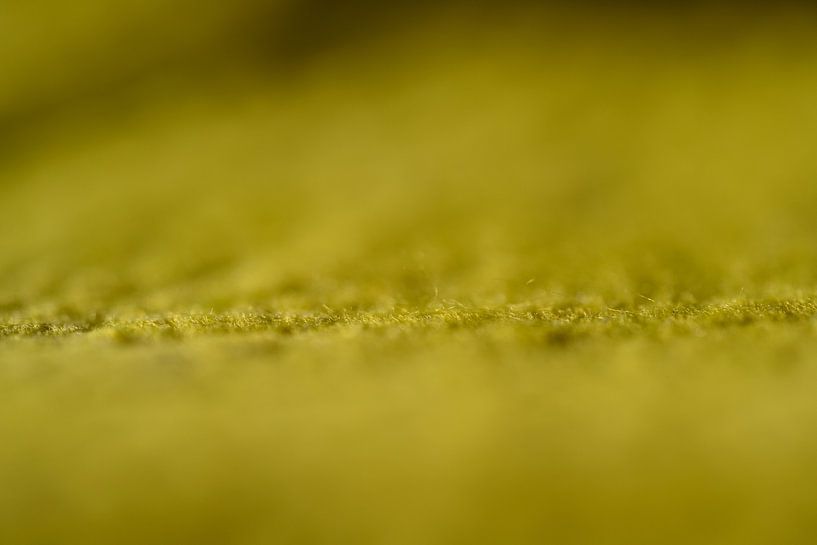 foam by Eduard de Kam