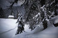 Bavarian Winter's Tale XI by Melanie Viola thumbnail