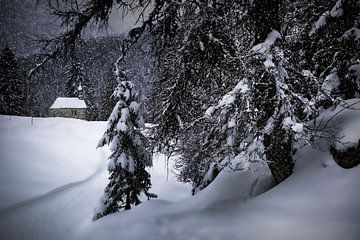 Bavarian Winter's Tale XI van Melanie Viola