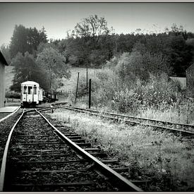 the Last Train von Ernie Mussche
