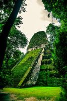 Temple maya dans la jungle