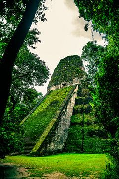 Maya tempel in de jungle van Nick Davids