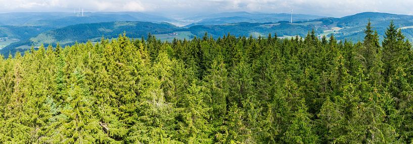 Germany, xxl panorama view above tree tops of endless black forest tree landscape by adventure-photos