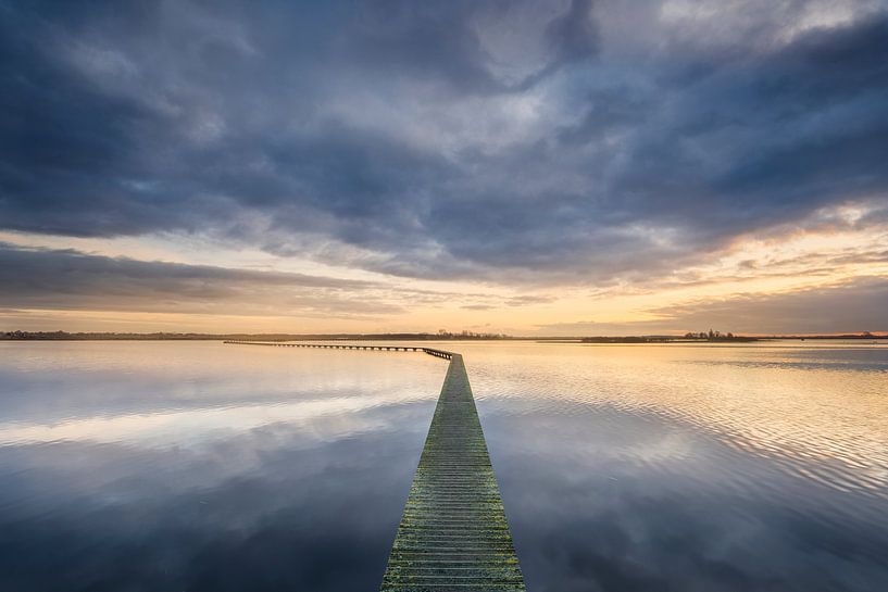 Le chemin des chauves-souris à travers le Dannemeer, Schildwolde par Ton Drijfhamer