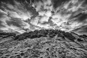 Texel II