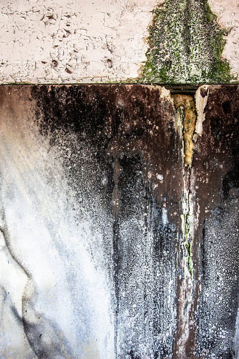 Detail verfallene Mauer alte Fabrik urbex von <span class="secondary-font">Martzen Fotografie</span>