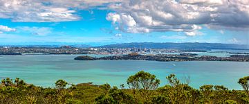 Lucht panoramisch uitzicht van Auckland City van Yevgen Belich