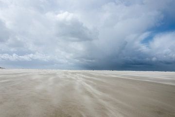 Strand Schouwen Duiveland van Judith Schrijver