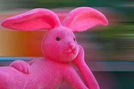 Eier suchen können die anderen