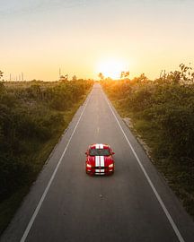 Ford Mustang onder de Zonsondergang van Frederik Opdeweegh