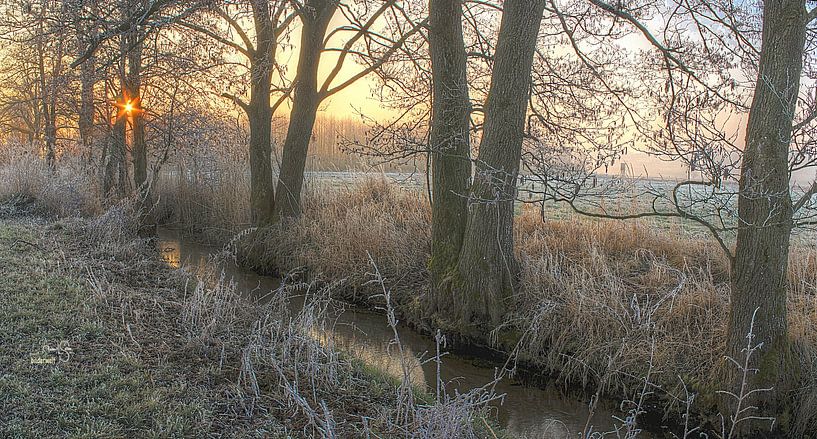 Der Morgengruß von fotoromantik robert sellier
