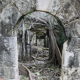Petit-Canal Prison Ruine van Anita Moek
