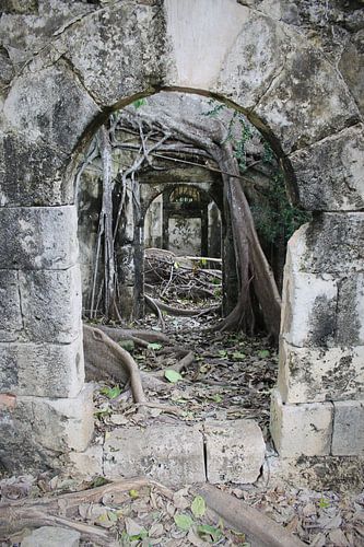 Petit-Canal Prison Ruine