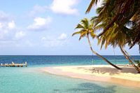 Tropisch eiland