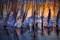 Ice Drops