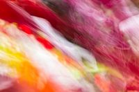 Colourful Leaves