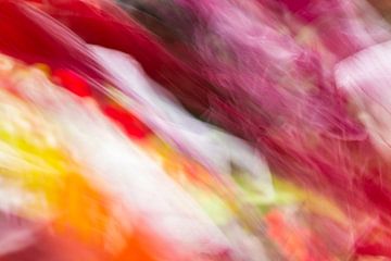Colourful Leaves van Marion Raaijmakers