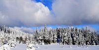 The top of the snow-capped mountain by Claude Laprise thumbnail