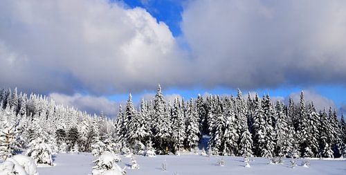 De top van de met sneeuw bedekte berg